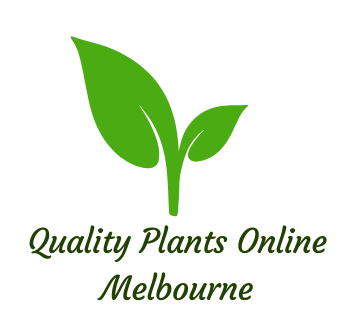 Quality Plants Online Melbourne